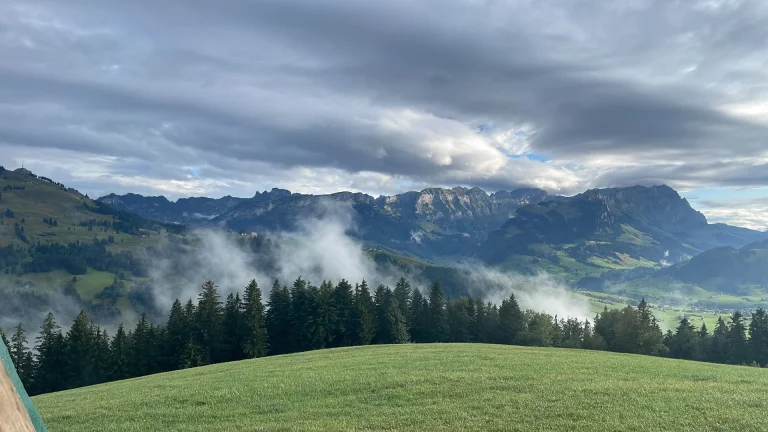 Abendwanderung auf den Hirschberg: Gemeinsam unterwegs